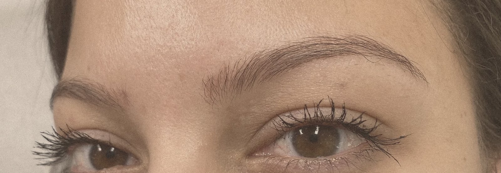 Fresh powder brows