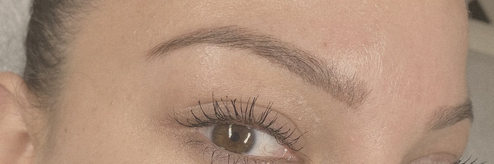 Soft powder brow